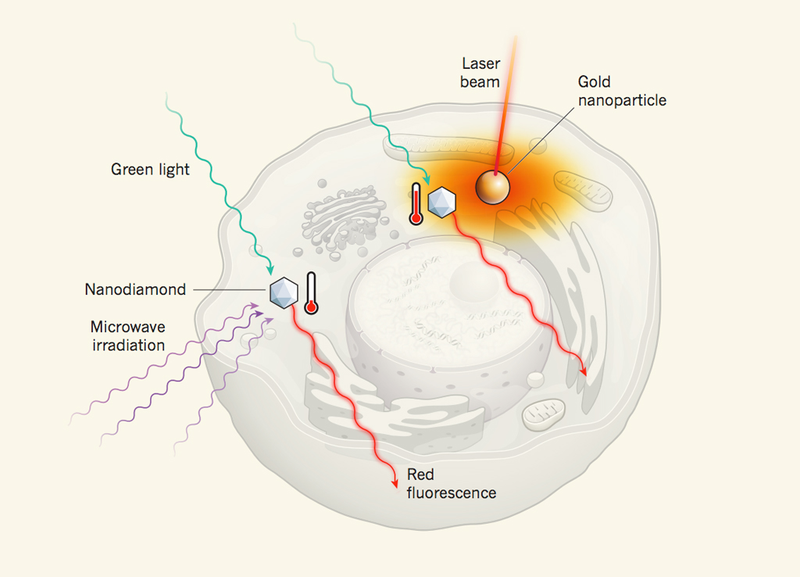 Illustration for article titled This Is a Heat Map of a Single, Living Cell